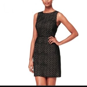 Ann Taylor black Eyelet midi dress size 6
